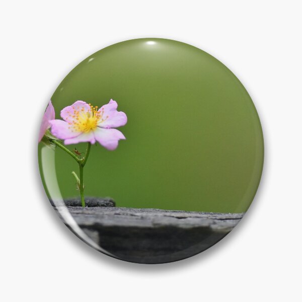 Item preview, Bug on small rose designed and sold by Leon Heyns.