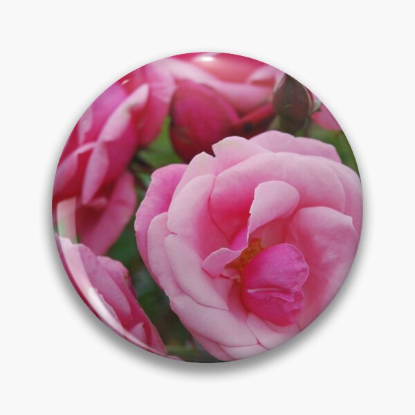 Item preview, Rose lots of pink designed and sold by lizdomett.
