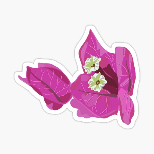 Bougainvillea Sticker