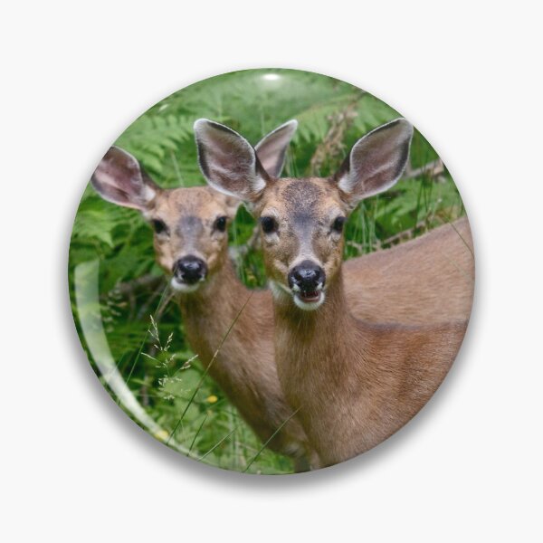 Item preview,  deer: Don't stare!  Why not?   designed and sold by RichImage.