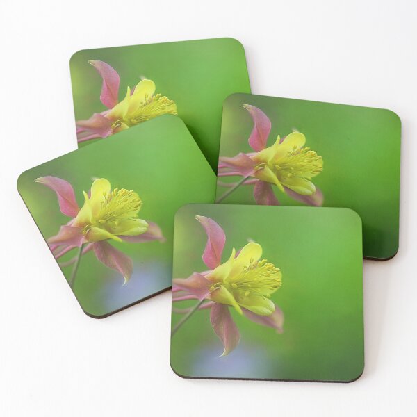 Item preview, Aquilegia Flower designed and sold by clint hudson.