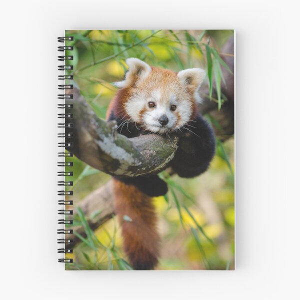 Item preview, Panda Roux designed and sold by UnPandafr.
