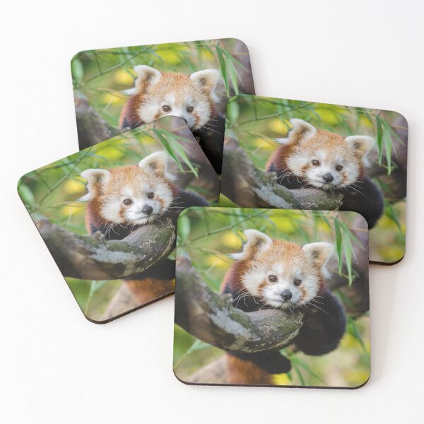 Item preview, Panda Roux designed and sold by UnPandafr.
