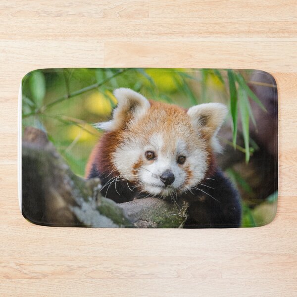 Item preview, Panda Roux designed and sold by UnPandafr.