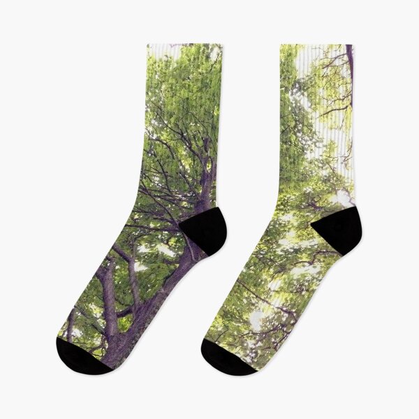 Item preview, Tree In Woods designed and sold by Andrew Morrell.