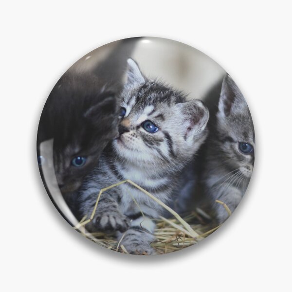 Item preview, kitten designed and sold by UnPandafr.