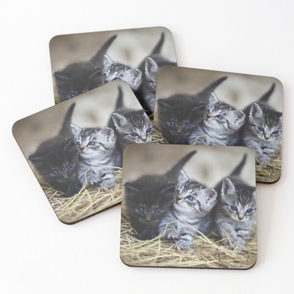 Item preview, kitten designed and sold by UnPandafr.