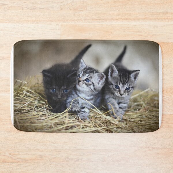 Item preview, kitten designed and sold by UnPandafr.