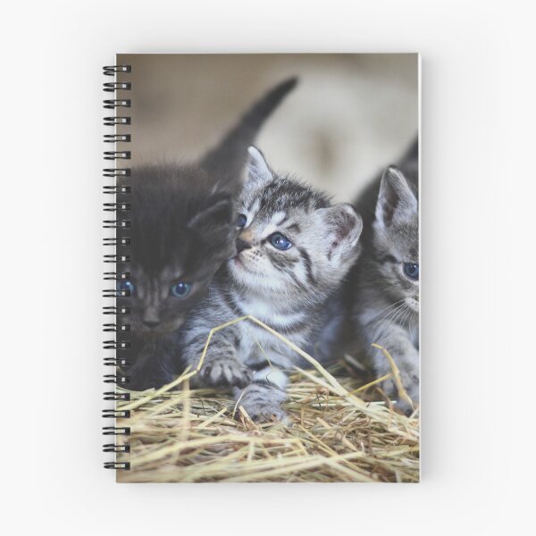 Item preview, kitten designed and sold by UnPandafr.
