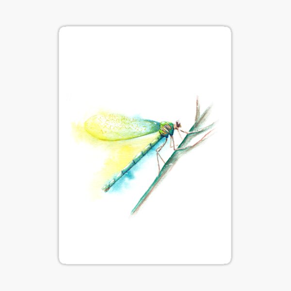 Green Dragonfly Watercolor Art Sticker