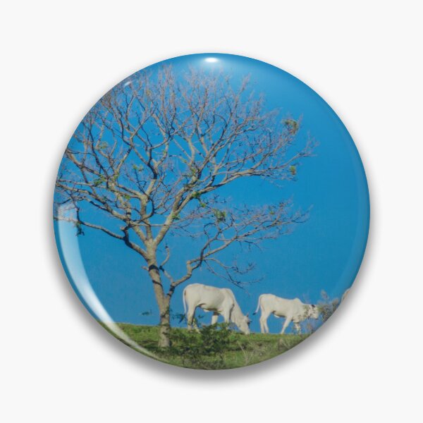 Item preview, Cows designed and sold by anafrancisconi.
