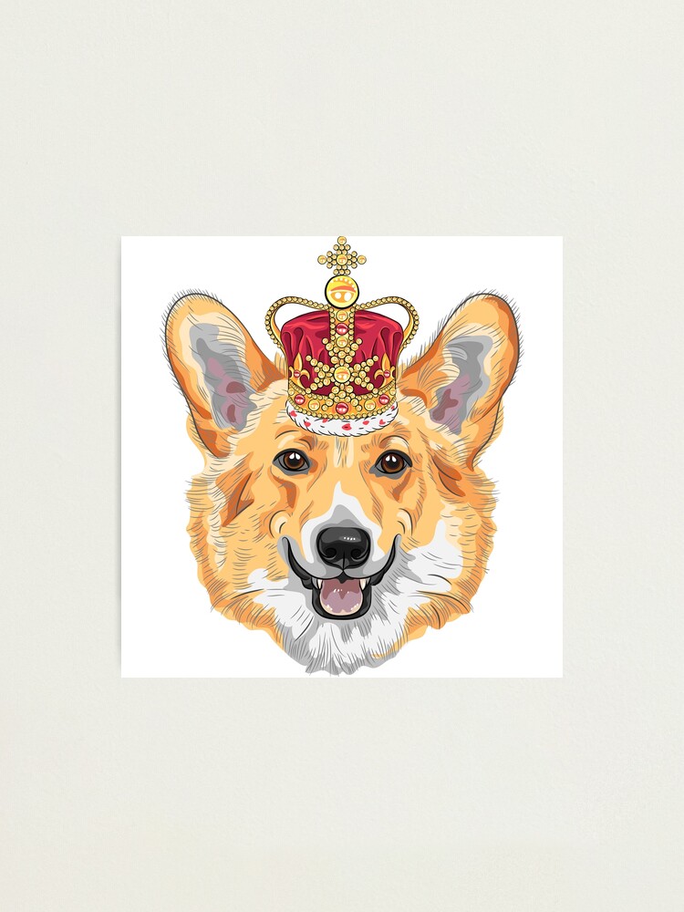 Pembroke Welsh Corgi In Gold Crown Photographic Print By Kavalenkava Redbubble