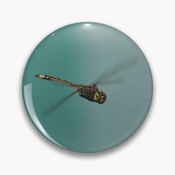 Item preview, 20191007 Dragonfly, West Ryde,NSW, Australia designed and sold by muz2142.