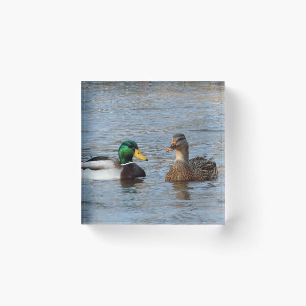 Item preview, A Pair of Mallard Ducks designed and sold by Susie Kramer.