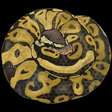 Vorschaubild zum Design Python Ball von Madrae