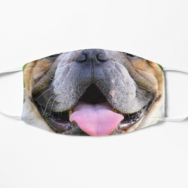 Bulldogge Zunge raus Maske