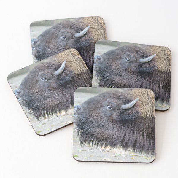 Item preview, American Bison designed and sold by Ericyaw.