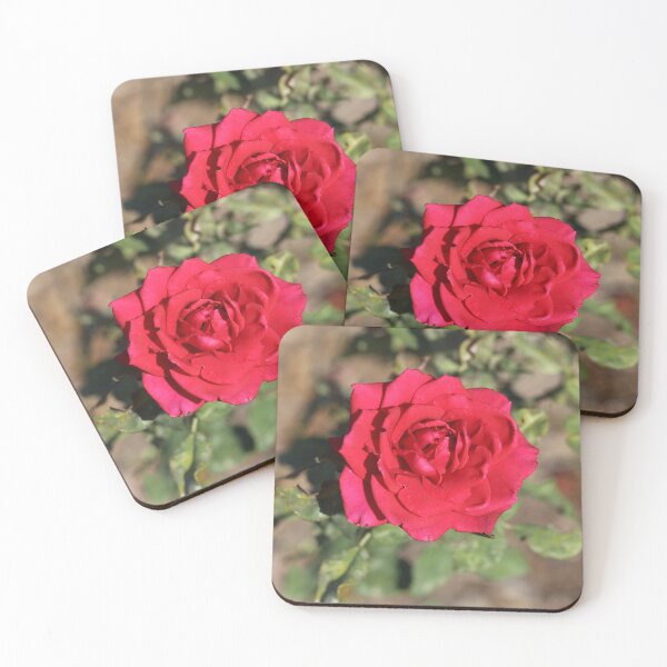 Item preview, Red Rose designed and sold by STHogan2.