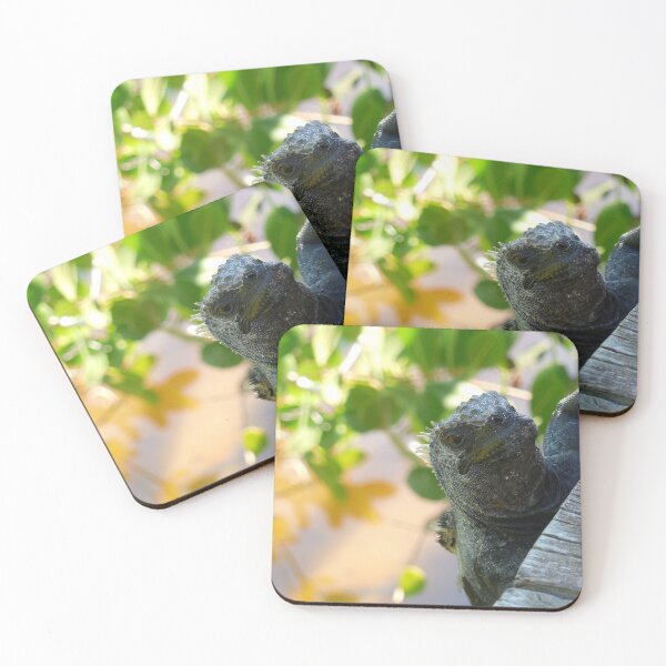 Item preview, Galapagos Iguana designed and sold by KClay98.