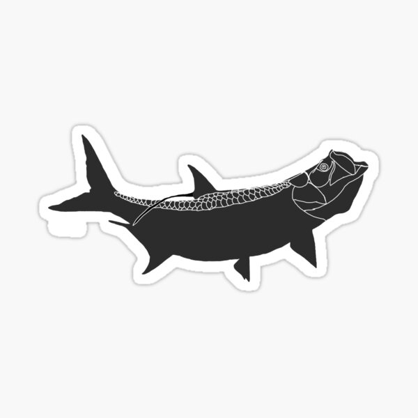 Saltwater Fishing Stickers for Sale