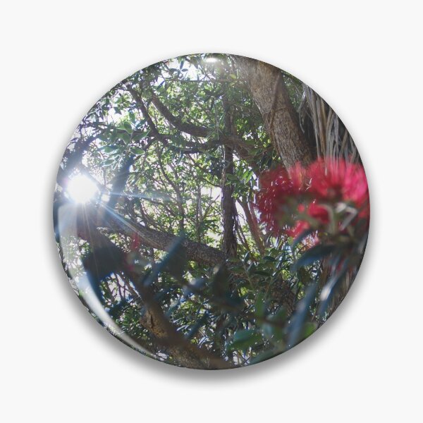 Item preview, Light through Pohutukawa Tree designed and sold by lizdomett.