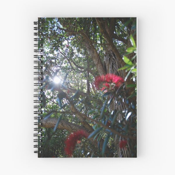 Item preview, Light through Pohutukawa Tree designed and sold by lizdomett.