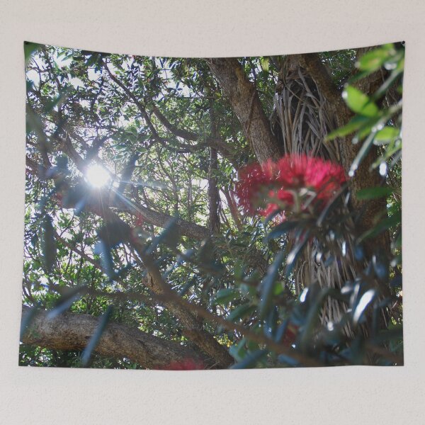 Item preview, Light through Pohutukawa Tree designed and sold by lizdomett.