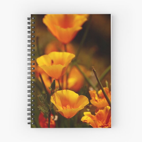 Item preview, California Gold designed and sold by Barbara  Brown.