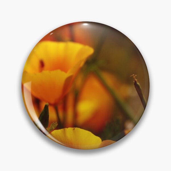 Item preview, California Gold designed and sold by Barbara  Brown.