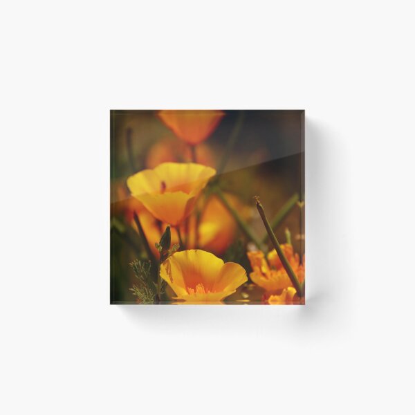 Item preview, California Gold designed and sold by Barbara  Brown.