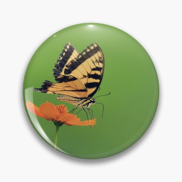 Item preview, Tiger Swallowtail on Orange Cosmos designed and sold by StampCity.