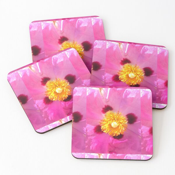 Item preview, Lovely Wild Rose designed and sold by lissi kaplan.