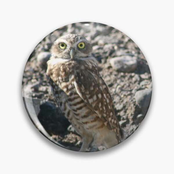 Item preview, Burrowing Owls... designed and sold by RichImage.
