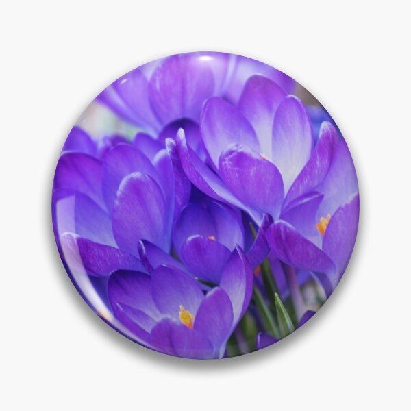 Item preview, Violet Crocuses designed and sold by Anna Se.