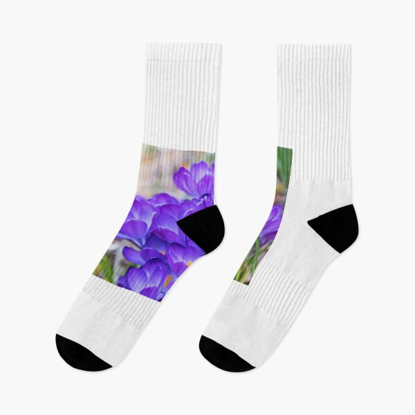 Item preview, Violet Crocuses designed and sold by Anna Se.