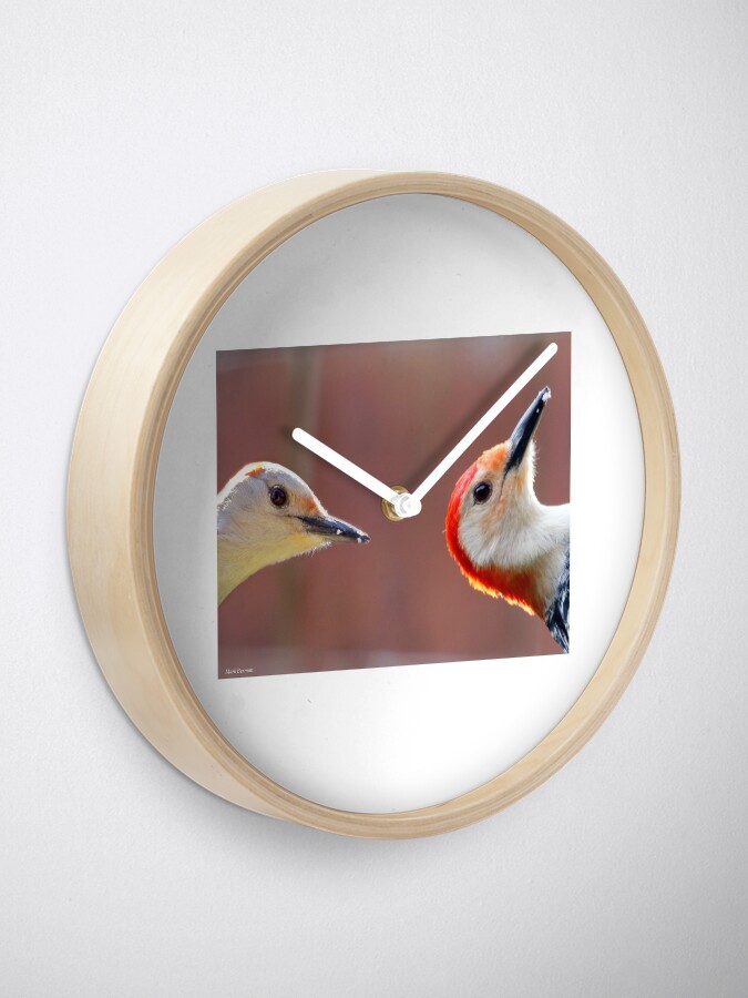 Alternate view of Femal and Male Red-Bellied Woodpeckers Clock