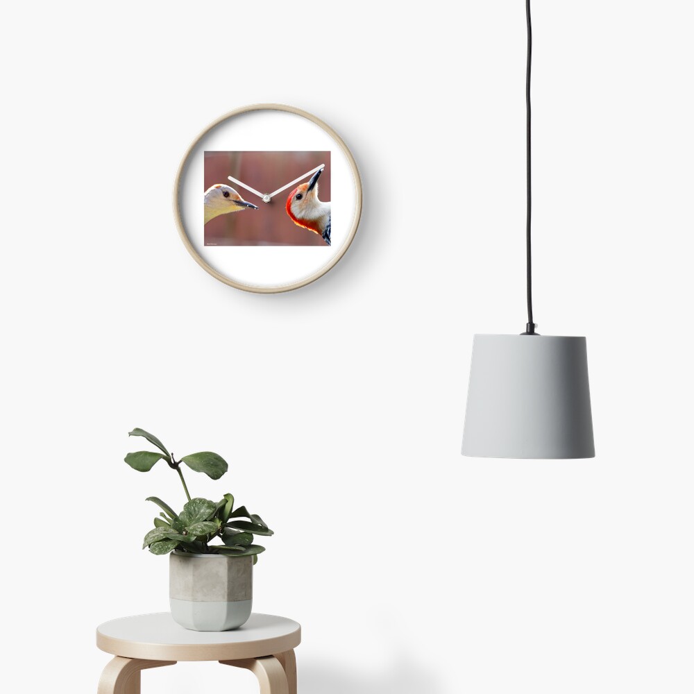 Femal and Male Red-Bellied Woodpeckers Clock