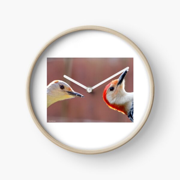 Femal and Male Red-Bellied Woodpeckers Clock