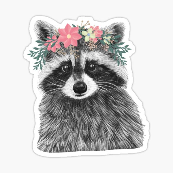 Cookie Raccoon - Sticker – MysticScribbles