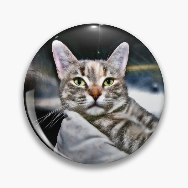 Item preview, This Is Kitty! designed and sold by Mark Ross.