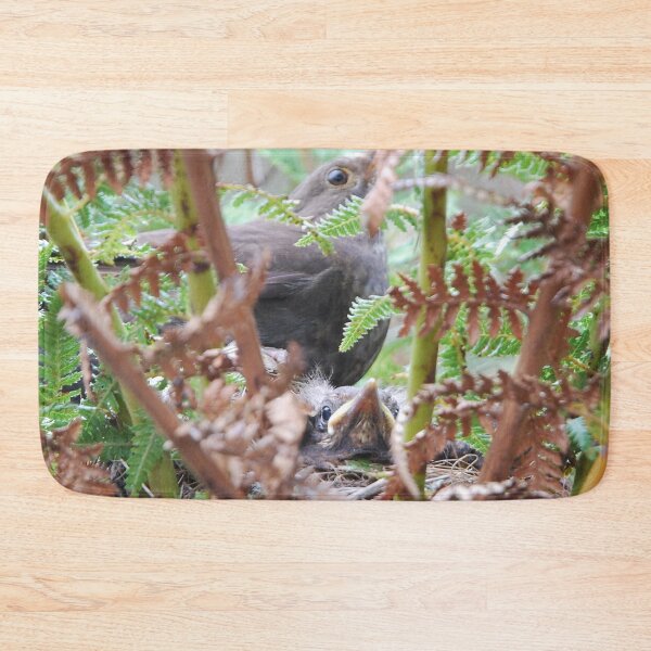 Item preview, Baby bird in the Tree Fern Nest designed and sold by lizdomett.