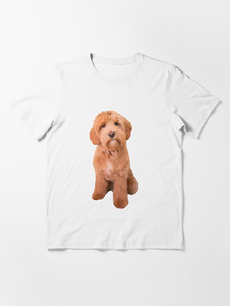 australian labradoodle t shirts