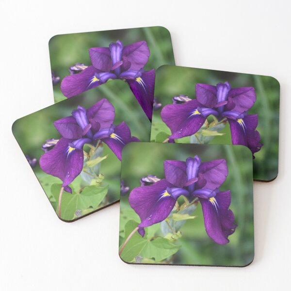 Item preview, Dark Purple Iris designed and sold by ReneeKennedy.