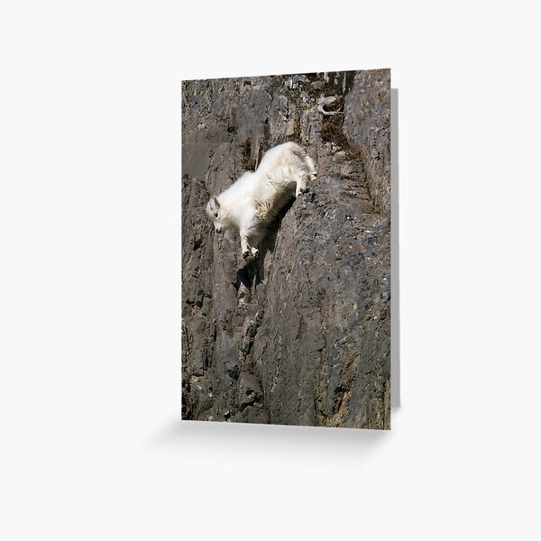 Wildlife Olympics - Tricky Dismount, Mountain Goat Kid Greeting Card