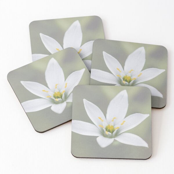 Item preview, Flower Star designed and sold by JohnDSmith.