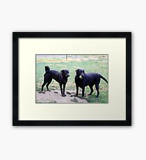 Sam & Zari Framed Print