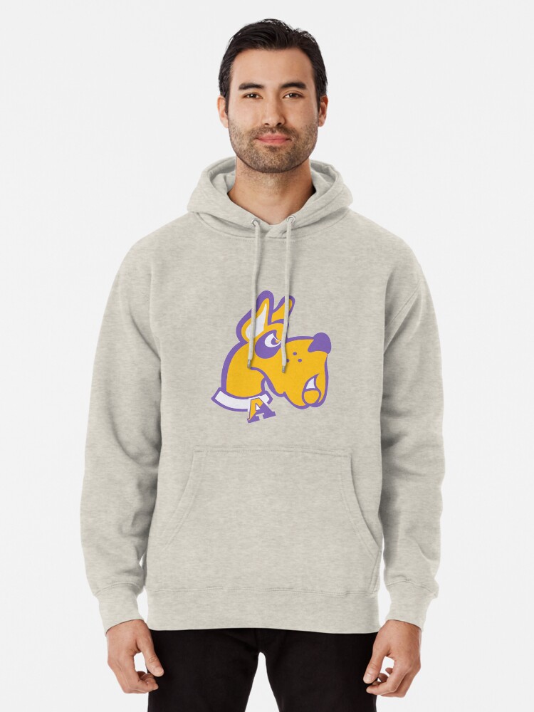 ualbany sweatshirt