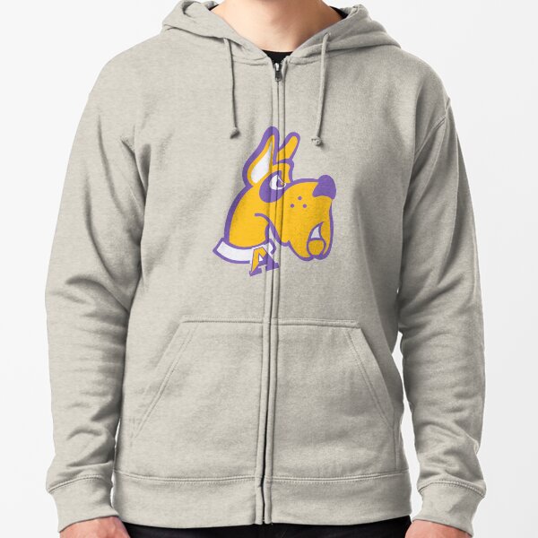 ualbany sweatshirt