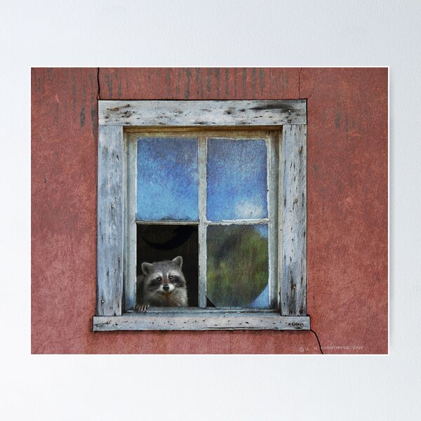Item preview, old house adobe window- raccoon designed and sold by R Christopher  Vest.