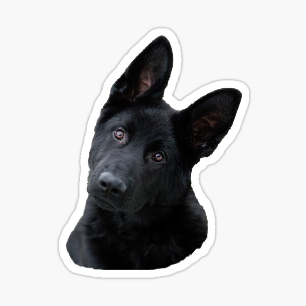 Item preview, Black German Shepherd Puppy Sticker designed and sold by AKamphuisDesign.